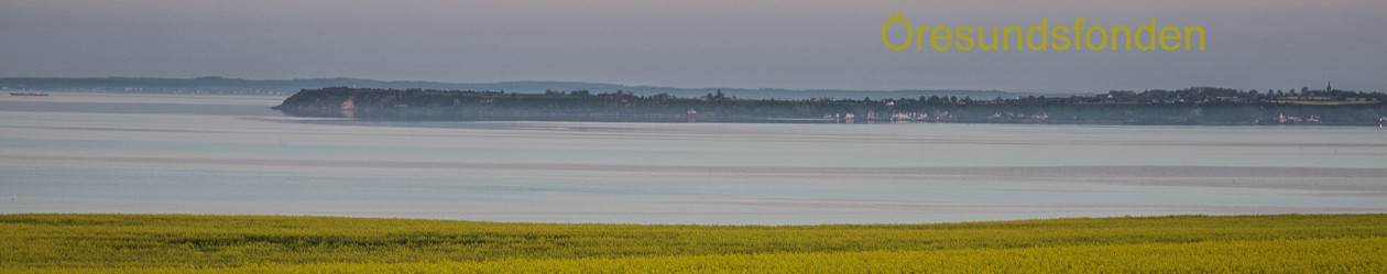 Öresundsfonden